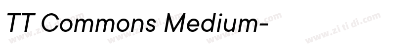TT Commons Medium字体转换